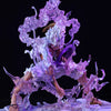 One Piece Action Figure Monkey D. Luffy Gear 5 With Lightining - Hideastore